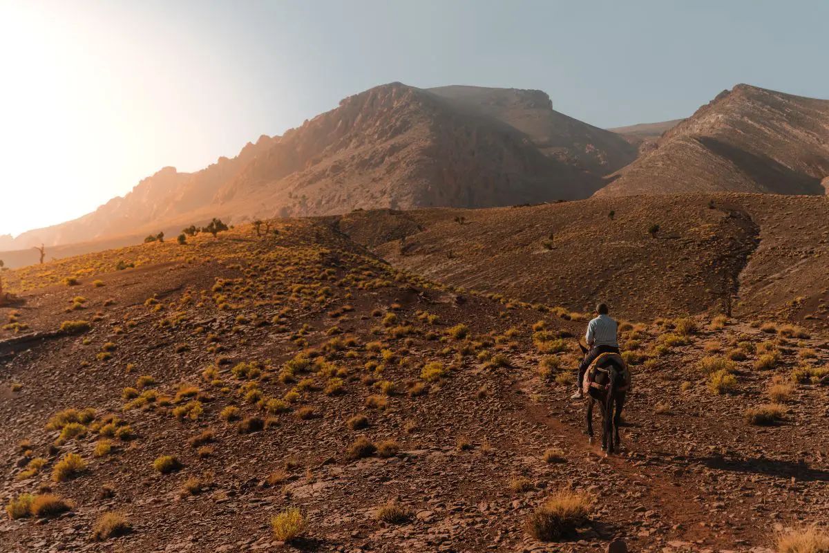 Paysage du maroc en automne